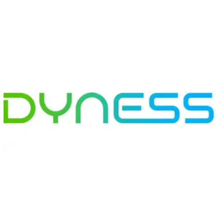 Dyness